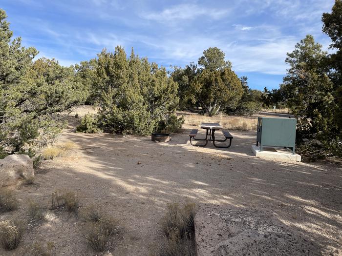 A photo of Site 6 of Loop Abert's Squirrel at JUNIPER CAMPGROUND with Picnic Table, Fire Pit