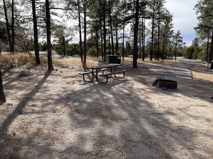 A photo of Site 30 of Loop Black Bear at JUNIPER CAMPGROUND with Picnic Table, Fire Pit, Food Storage