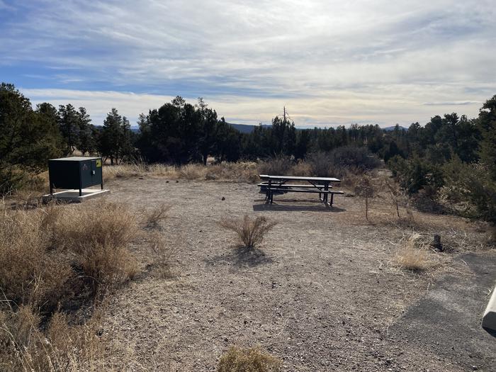 A photo of Site 7 of Loop Abert's Squirrel at JUNIPER CAMPGROUND with Picnic Table, Food Storage