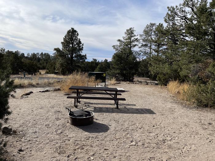 A photo of Site 9 of Loop Abert's Squirrel at JUNIPER CAMPGROUND showing full campsite