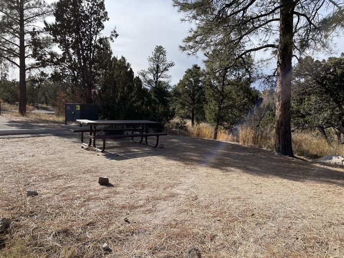 A photo of Site 25 of Loop Black Bear at JUNIPER CAMPGROUND showing whole campsite