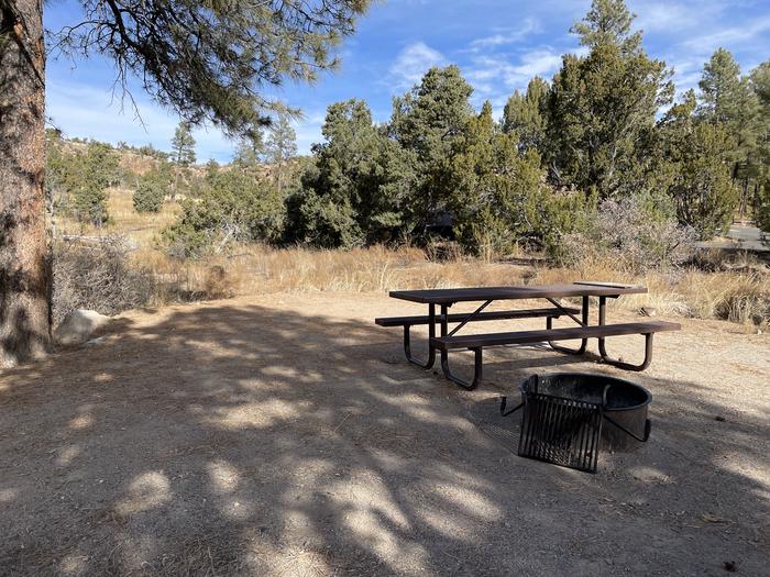A photo of Site 25 of Loop Black Bear at JUNIPER CAMPGROUND with Picnic Table, Fire Pit