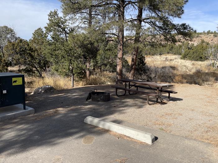 A photo of Site 25 of Loop Black Bear at JUNIPER CAMPGROUND with Picnic Table, Fire Pit, Food Storage