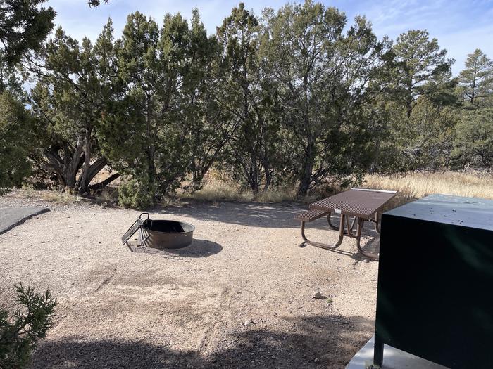A photo of Site 19 of Loop Black Bear at JUNIPER CAMPGROUND with Picnic Table, Fire Pit, Food StorageA photo of Site 19 of Loop Black Bear at JUNIPER CAMPGROUND with Picnic Table, Fire Pit, Food Storage. Site 19 is directly next to Site 20. Each site has own amenities.