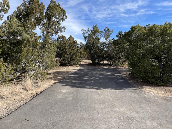 A photo of parking area at Site 17 of Loop Abert's Squirrel at JUNIPER CAMPGROUND