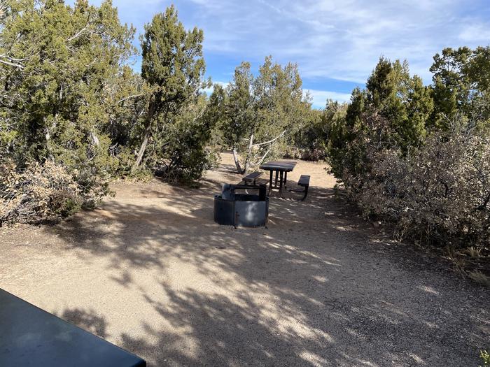 A photo of Site 17 of Loop Abert's Squirrel at JUNIPER CAMPGROUND showing whole campsite