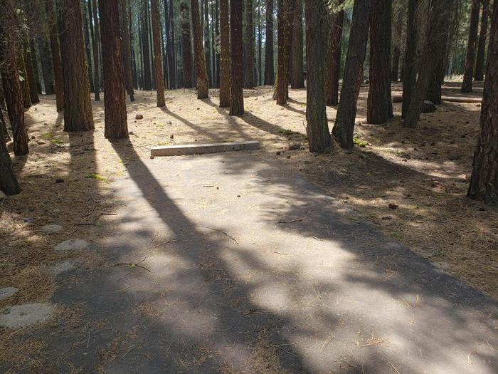 Driveway in good condition suitable for most vehicles.Boulder Creek Site 62 Driveway