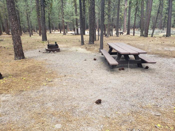 Spacious site with table and fire ring.Lone Rock Site 4