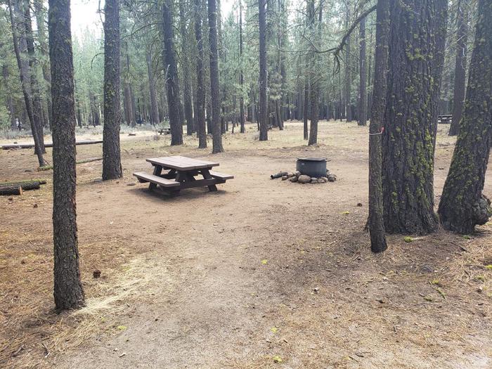 Site features a picnic table and a fire ring surrounded by rocks.Lone Rock Site 17