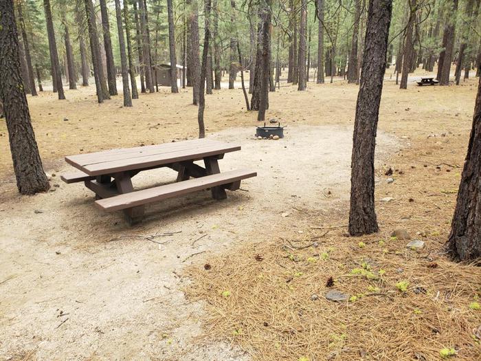 Spacious site with nearby trees and features a picnic table and fire ring.Lone Rock Site 44