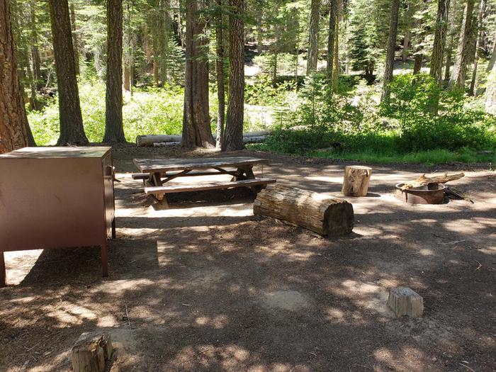 Spacious site featuring a picnic table, fire ring, bear box, and log to sit on in close proximity to the fire ring.Whitehore Site 6