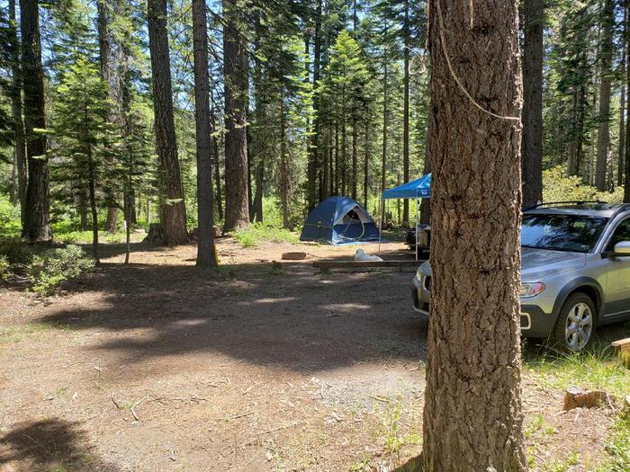 Spacious site with a mix of sun and shade that features a picnic tabe and fire ring.Grizzly Creek Site 1