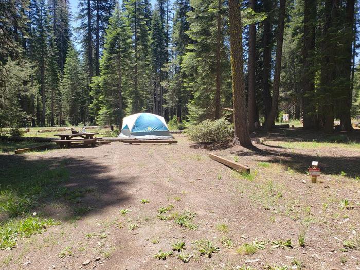 Site has a mix of sun and shade and features a picnic tabe and fire ring.Grizzly Creek Site 3