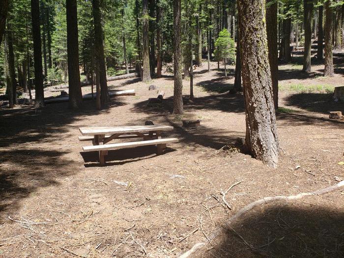 Spacious site with a mix of sun and shade featuring a picnic table and fire ring.Grizzly Creek Site 7