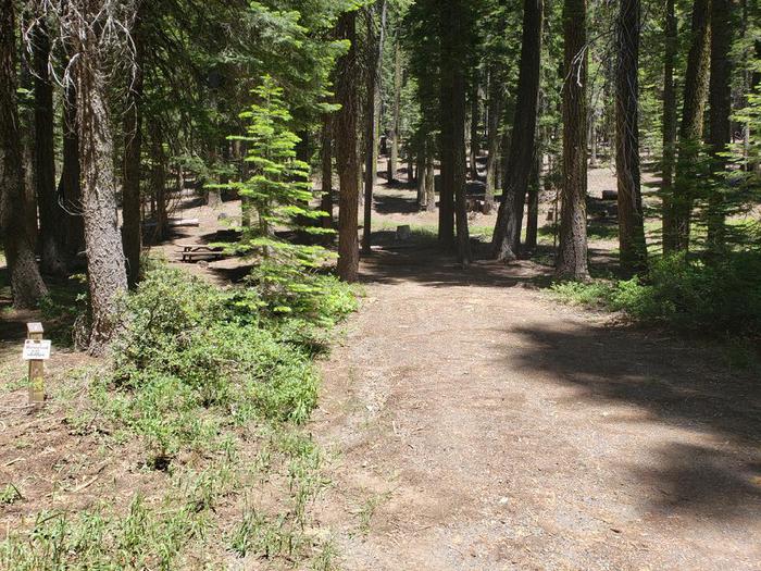 Dirt driveway is in good condition and suiable for most vehicles.Grizzly Creek Site 7 Driveway