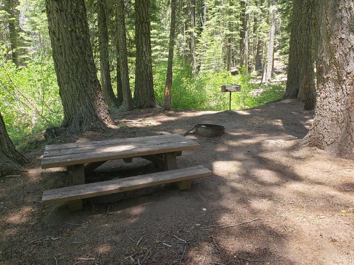 Ssite with a mix of sun and shade featuring a picnic table and fire ring.Grizzly Creek Site 8