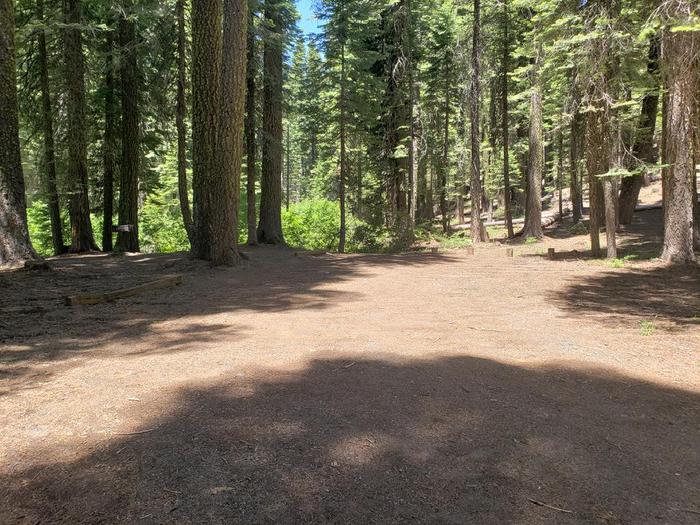 Dirt driveway is in good condition and suitable for most vehicles.Grizzly Creek Site 8 Driveway