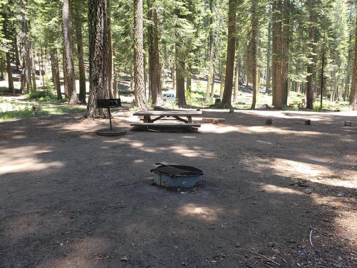 Spacious site with a mix of sun and shade featuring a picnic table and fire ring.Grizzly Creek SIte 9