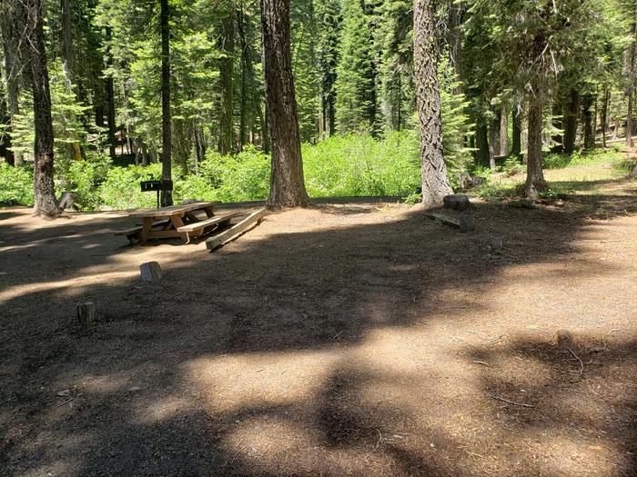 Dirt driveway is in good condition and is suitable for most vehicles.Grizzly Creek Site 9 Driveway