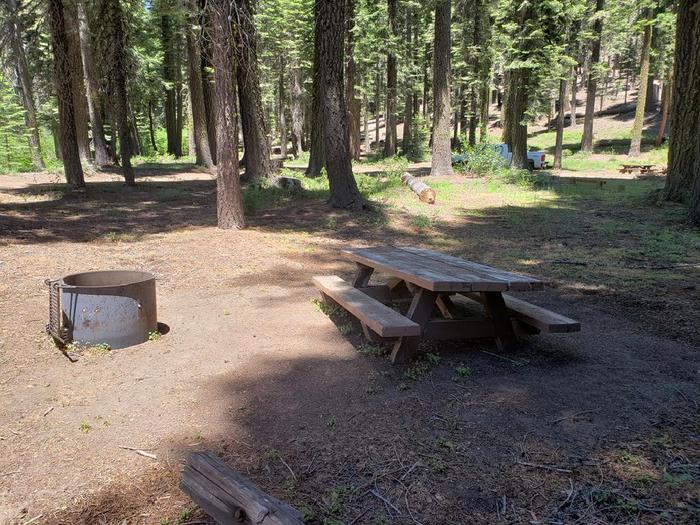 Spacious site with a mix of sun and shade featuring a picnic table and fire ring.Grizzly Creek Site 10