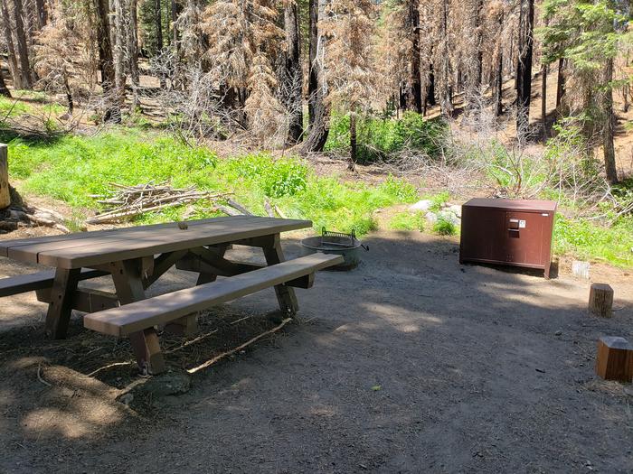 Beautiful site featuring a picnic table, fire ring, and bear box as well as a mix of sun and shade.Mill Creek Site 11