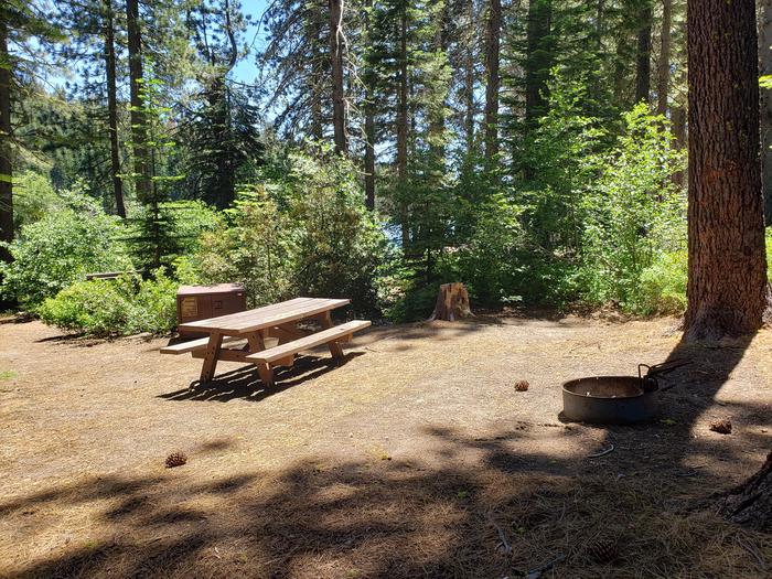 Spacious site featuring a mix of sun and shade as well as a picnic table, fire ring, and bear box.Mill Creek Site 10