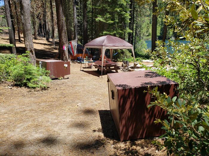 Spacious and sunny site featuring a picnic table, fire ring, and bear box.Mill Creek Site 9