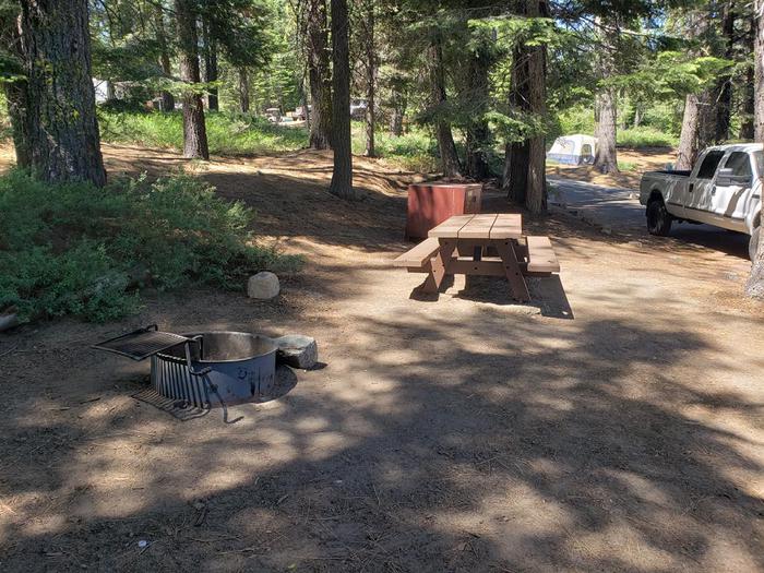 Spacious site featuring a picnic table, fire ring, and bear box.Sundew Site 1