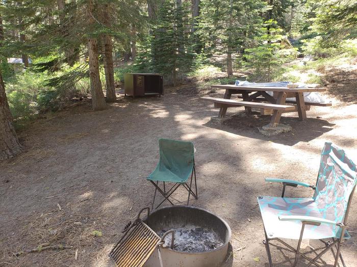 Shady site featuring a picnic table, fire ring, and bear box.Sundew Site 3