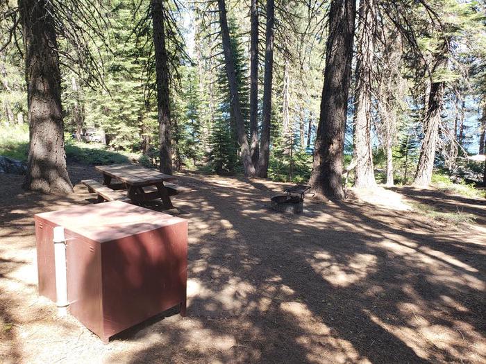 Shady site featuring a picnic table, fire ring, and bear box.Sundew Site 11