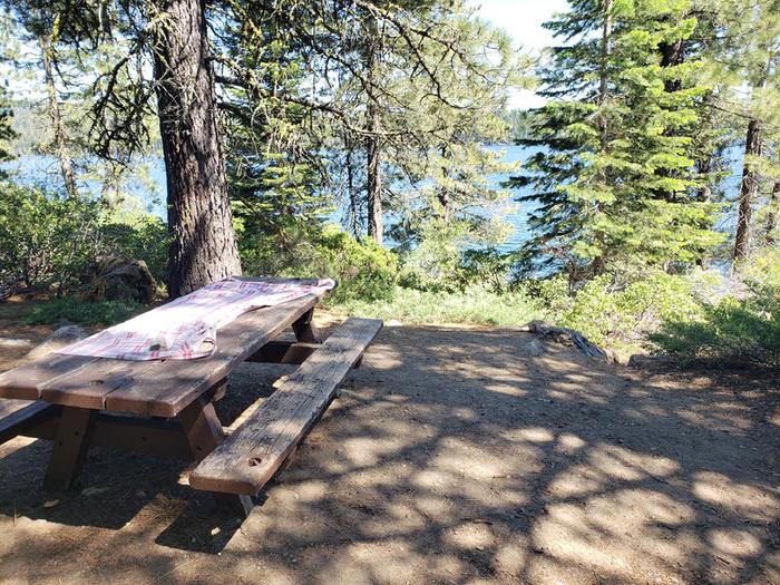 Shady site featuring a picnic table, fire ring,  and bear box.Sundew Site 20