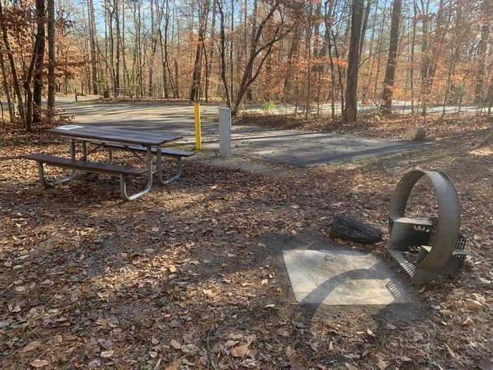 A brown circle fire ring and brown picnic table.C-10 fire ring and picnic table area.