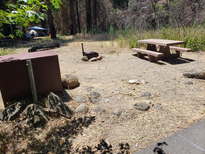 Spacious site featuring a picnic table, fire ring, lantern holder, and bear box.North Fork Site 6
