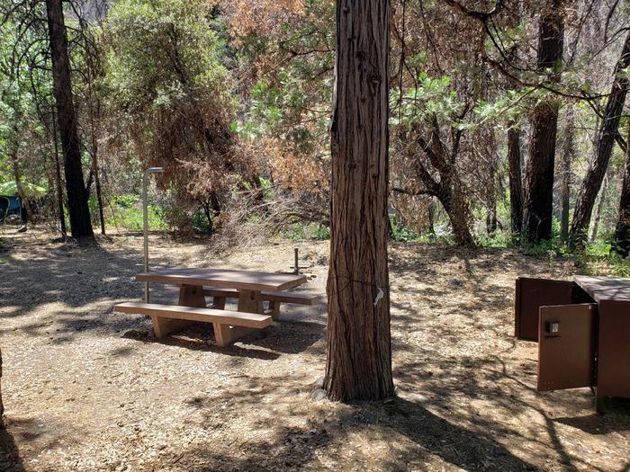 Spacious site featuring a picnic table, fire ring, lantern holder, and bear box.North Fork Site 9