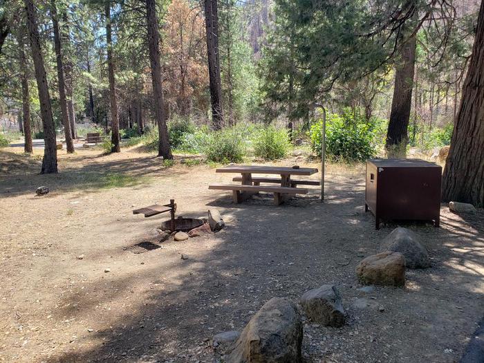 Shady site that features a picnic table, fire ring, lantern holder, and bear box.North Fork Site 13
