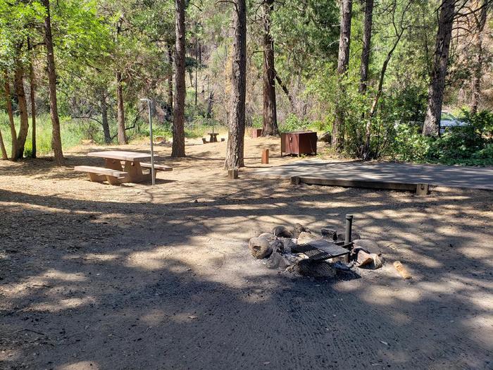 Spacious site featuring a picnic table, fire ring, lantern holder, and bear box.North Fork Site 16
