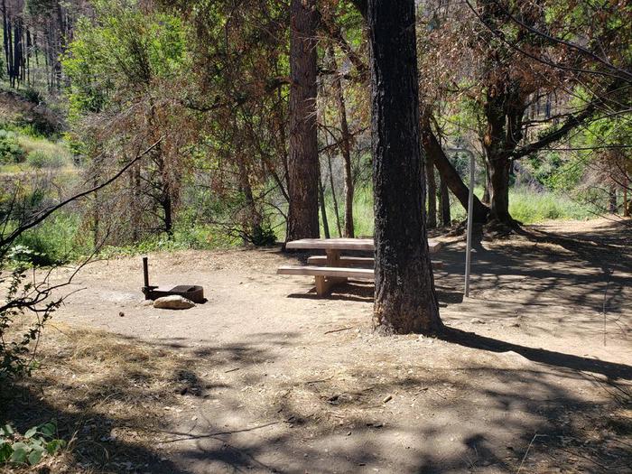Spacious site featuring a picnic table, fire ring, lantern holder, and bear box.North Fork Site 19