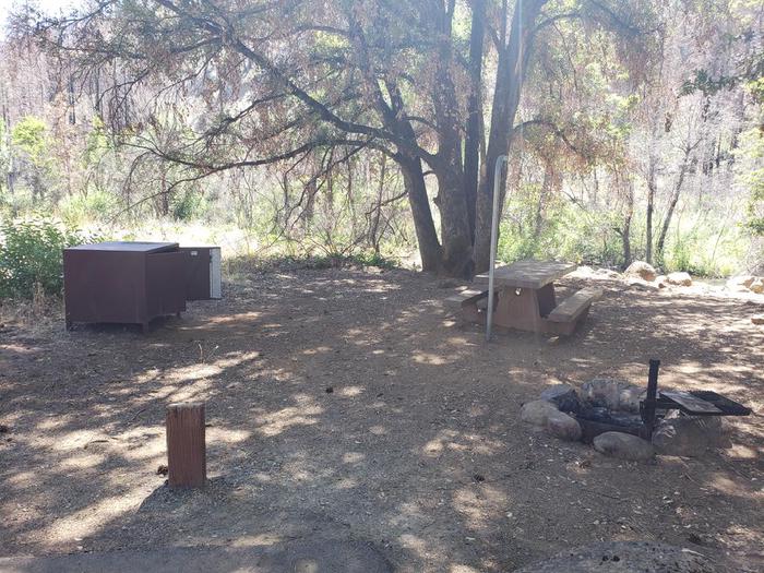 Shady site featuring a picnic table, fire ring, lantern holder, and bear box.North Fork Site 21