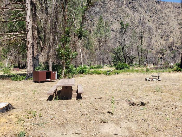Sunny site features a picnic table, fire ring, and bear box.Gansner Bar Site 3