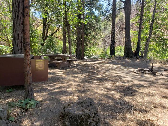 Shady site that features a picnic table, fire ring, and bear box.Queen Lily Site 2