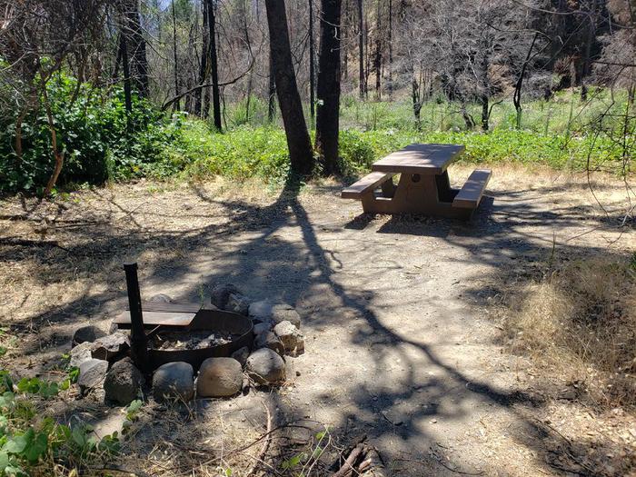 Spacious site featuing a picnic table, fire ring, and bear box.Queen Lily Site 3
