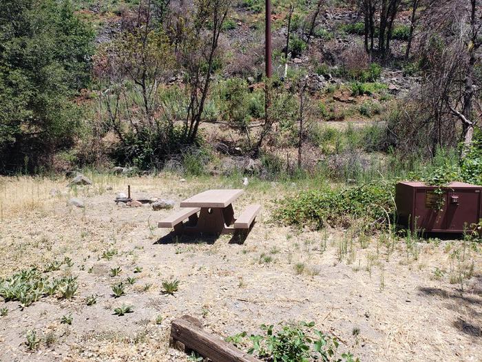 Sunny site featuring a picnic table, fire ring, and bear box.Queen Lily Site 4
