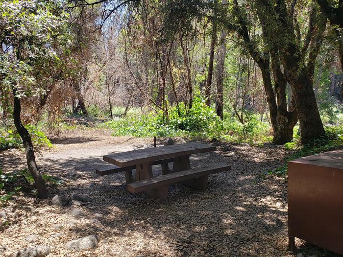 Shady driveway featuring a picnic table, fire ring, and bear box.Queen Lily Site 6