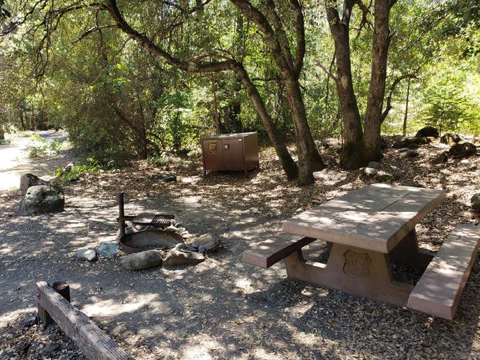 Shady site featuring a picnic table, fire ring, and bear box.Queen Lily Site 10