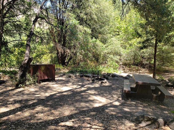 Shady site featuring a picnic table, fire ring, and bear box.Queen Lily Site 11