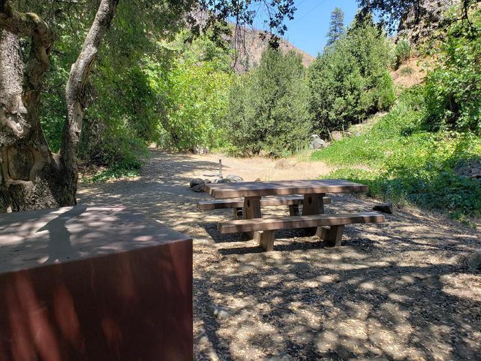 Shady site featuring a picnic table, fire ring, and bear box.Queen Lily Site 12