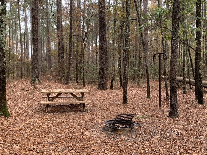 A photo of Site IS03 of Loop Longleaf at Longleaf Campground with Picnic Table, Fire Pit, Shade, Lantern Pole