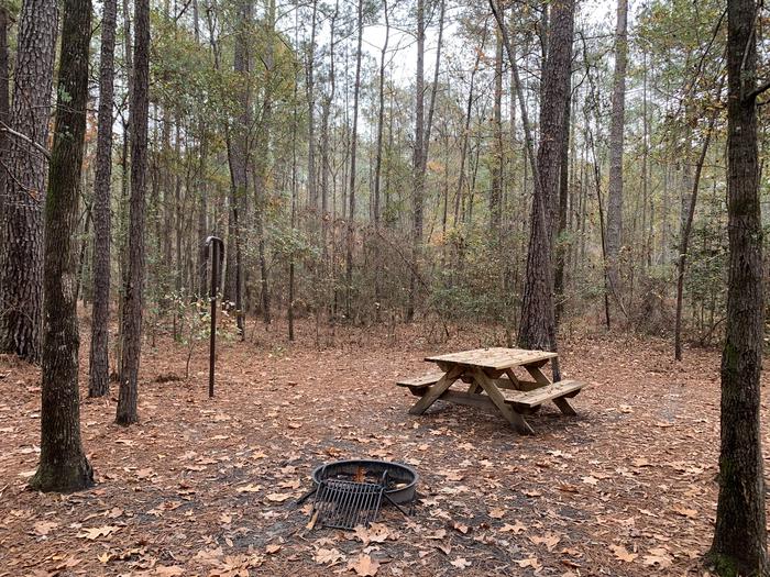 A photo of Site IS05 of Loop Longleaf at Longleaf Campground with Picnic Table, Fire Pit, Shade, Lantern Pole