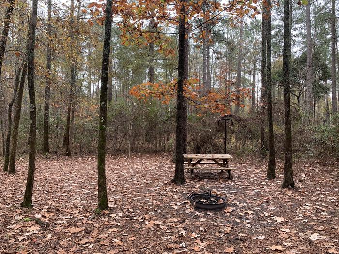 A photo of Site IS08 of Loop Longleaf at Longleaf Campground with Picnic Table, Fire Pit, Shade, Lantern Pole