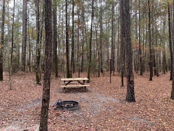 A photo of Site IS07 of Loop Longleaf at Longleaf Campground with Picnic Table, Fire Pit, Shade, Lantern Pole